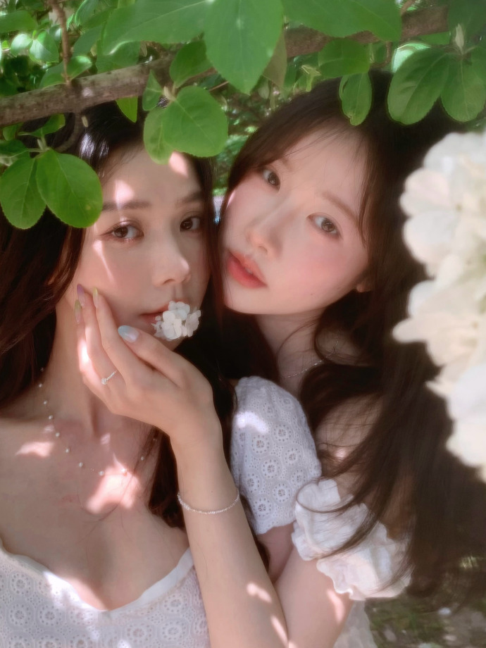 信条